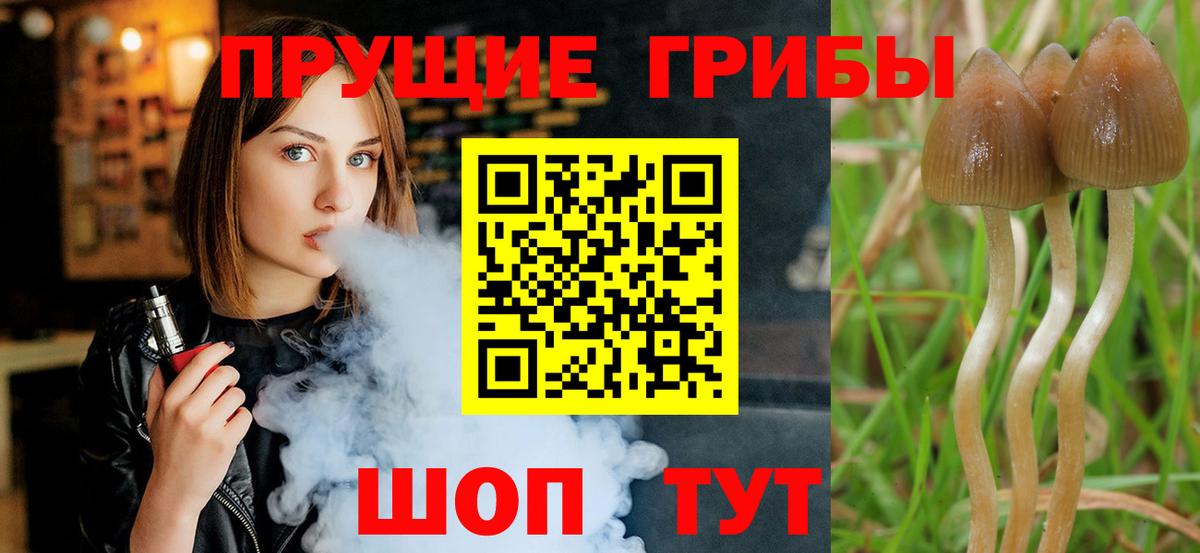 Псилоцибиновые грибы мухоморы  Вход с VPN  Конаково 